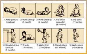stages of child development